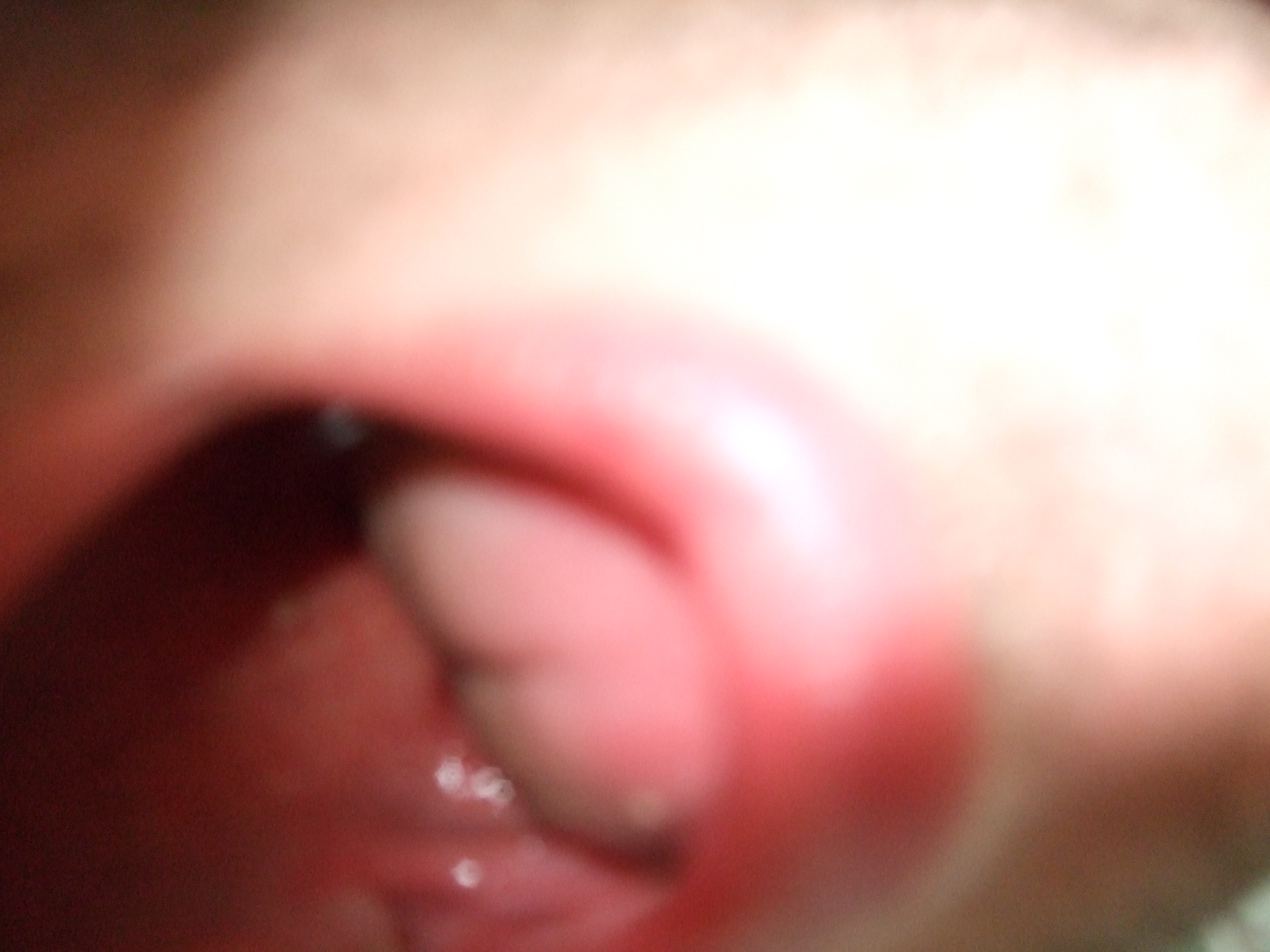 DSCF9100.JPG